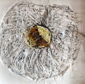 Sunflower Luise Lukas