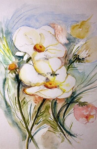 2024_Regina_Renner_Weiße_Anemone