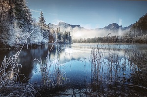 Christian Leitner Rauraif am Almsee