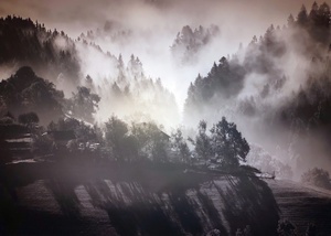 Dr. Franz Kolndorffer Herbstnebel